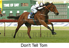 Don't Tell Tom (18507 bytes)