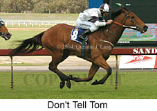 Don't Tell Tom (18507 bytes)