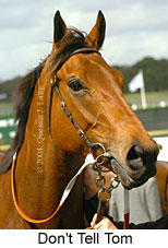 Don't Tell Tom (18507 bytes)