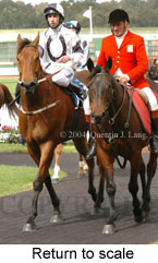 Return to scale (17769 bytes)