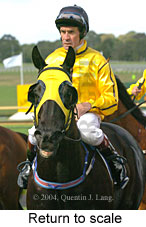 Return to scale (17769 bytes)