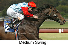 Medium Swing (18507 bytes)