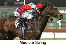 Medium Swing (18507 bytes)