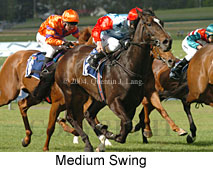 Medium Swing (18507 bytes)