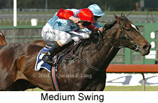 Medium Swing (18507 bytes)