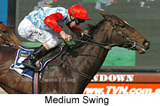 Medium Swing (18507 bytes)