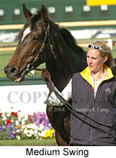 Medium Swing (18507 bytes)