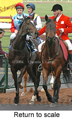 Return to scale (17769 bytes)