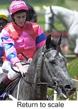 r4rtosc.jpg (10966 bytes)