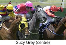 r4suzygrey.jpg (11338 bytes)