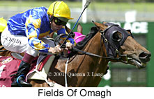 r5fieldsofomagh.jpg (15722 bytes)