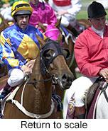 r5rtosc.jpg (10766 bytes)