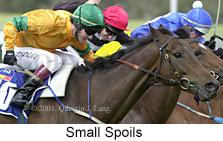 r7smallspoils.jpg (10198 bytes)