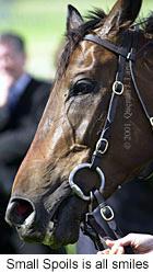 r7smallspoils2.jpg (10476 bytes)