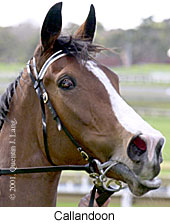 r1callandoon2.jpg (13579 bytes)