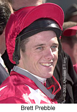 r2bprebble.jpg (13763 bytes)