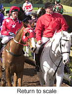 r2rtosc.jpg (15800 bytes)