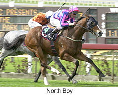 r3northboy.jpg (20783 bytes)