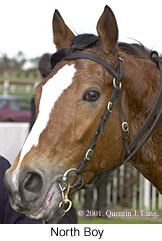 r3northboy2.jpg (12804 bytes)