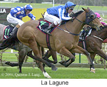 r4lalagune.jpg (17836 bytes)