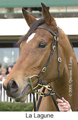 r4lalagune2.jpg (13006 bytes)