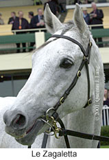 r5lezagaletta2.jpg (13207 bytes)