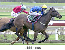 r6libidinious.jpg (16260 bytes)