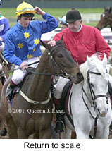 r6rtosc.jpg (15266 bytes)