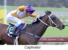 r7captivator.jpg (13898 bytes)