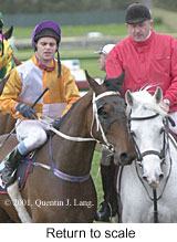 r7rtosc.jpg (14258 bytes)