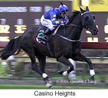 r8casinohghts.jpg (16121 bytes)